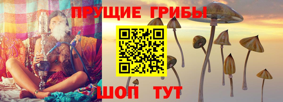 Галлюциногенные грибы Cubensis  Вход с VPN  Лысьва 